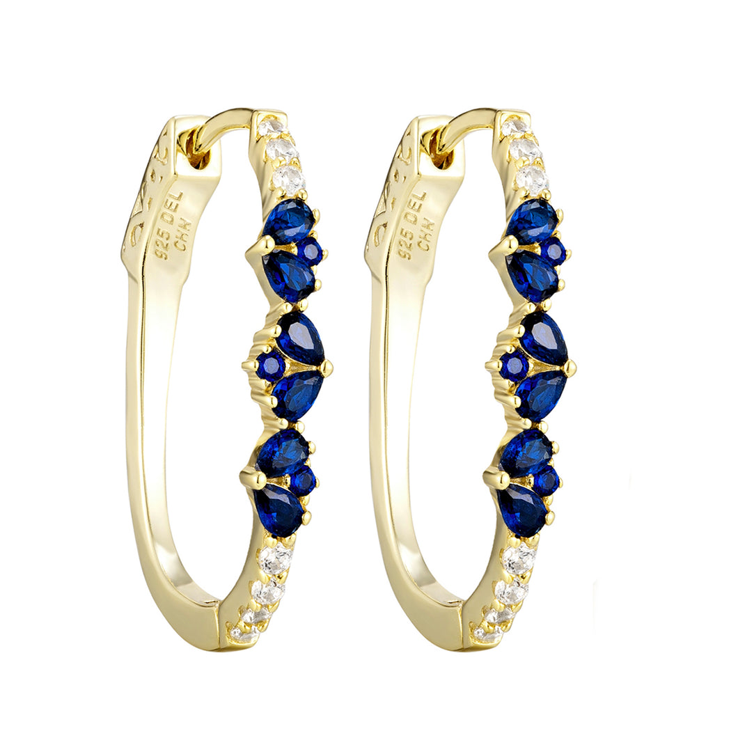 Colour And White CZ Oval Hoop Earrings