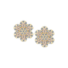 Load image into Gallery viewer, Exquisite Teen Flower Stud Earring
